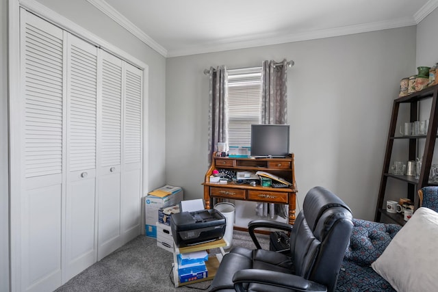 office featuring ornamental molding and carpet floors