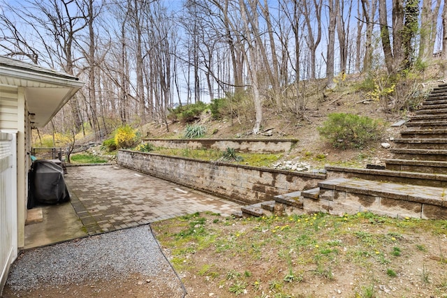 view of yard featuring stairway and a patio