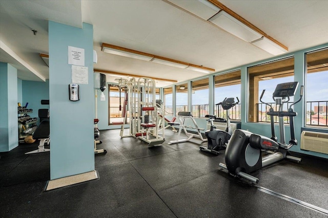 gym featuring a healthy amount of sunlight