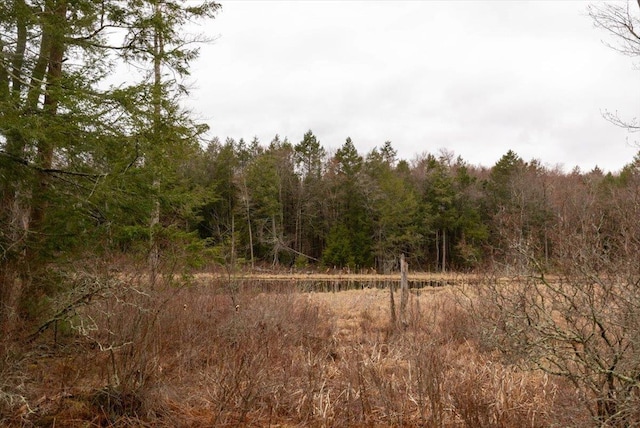 700 Sackett Lake Rd, Monticello, NY 12701 - view of landscape featuring a wooded view