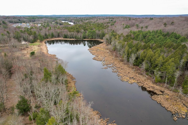 700 Sackett Lake Rd, Monticello, NY 12701 - drone / aerial view with a water view and a forest view