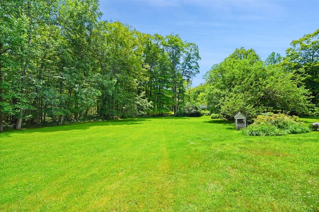 100 E St, South Salem, NY 10590 - view of green lawn