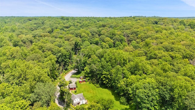 100 E St, South Salem, NY 10590 - drone / aerial view of a heavily wooded area