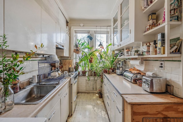 kitchen with ornamental molding, under cabinet range hood, white cabinetry, and light countertops
