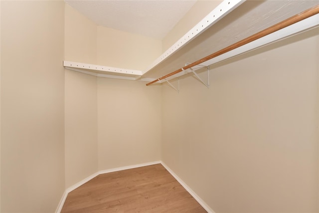 spacious closet with light wood-style flooring