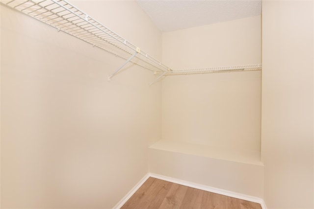 spacious closet featuring light wood-type flooring