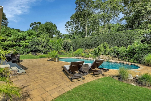 view of swimming pool featuring a patio area and a fenced in pool