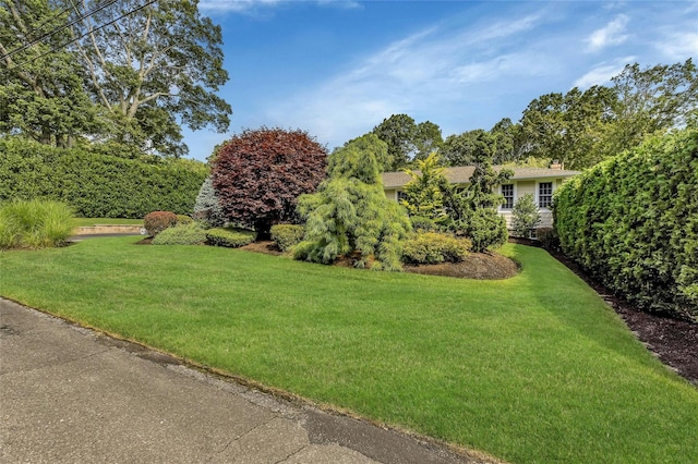view of yard