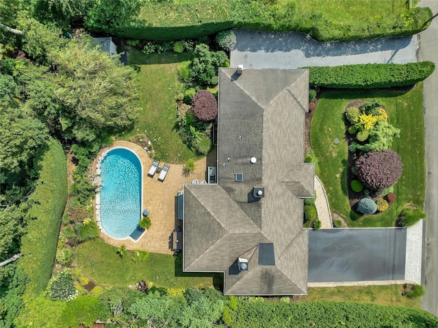 bird's eye view