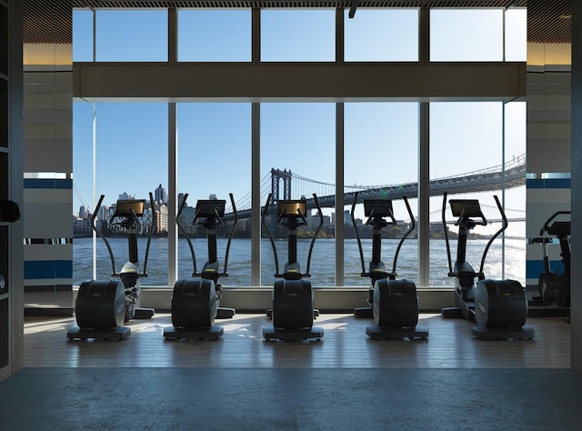 gym with wood finished floors and a water view