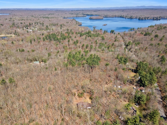16 Clipper Dr, Wurtsboro, NY 12790 - photo 40