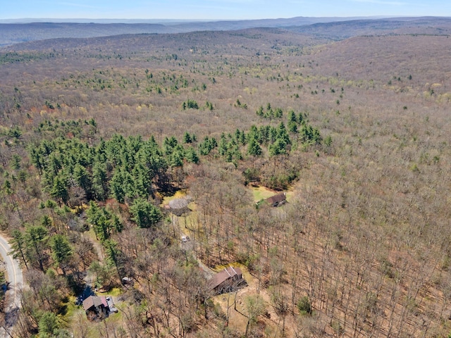 16 Clipper Dr, Wurtsboro, NY 12790 - photo 41