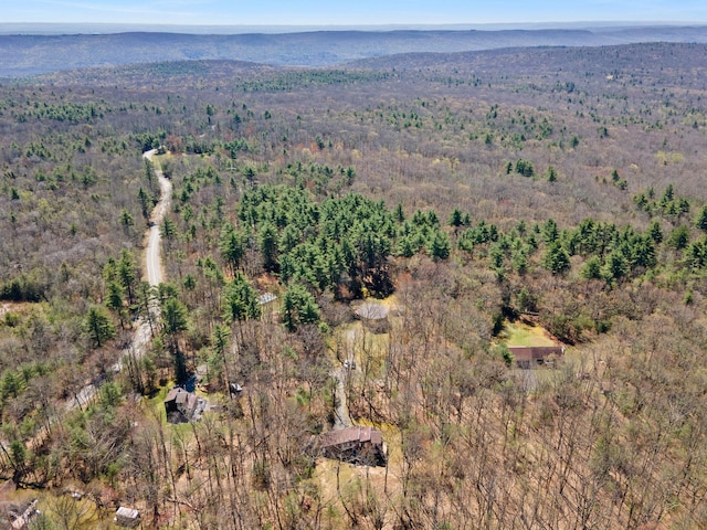 16 Clipper Dr, Wurtsboro, NY 12790 - photo 42