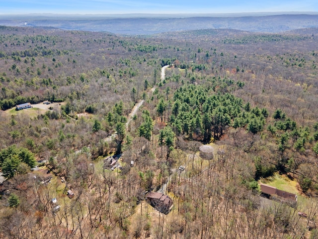 16 Clipper Dr, Wurtsboro, NY 12790 - photo 43