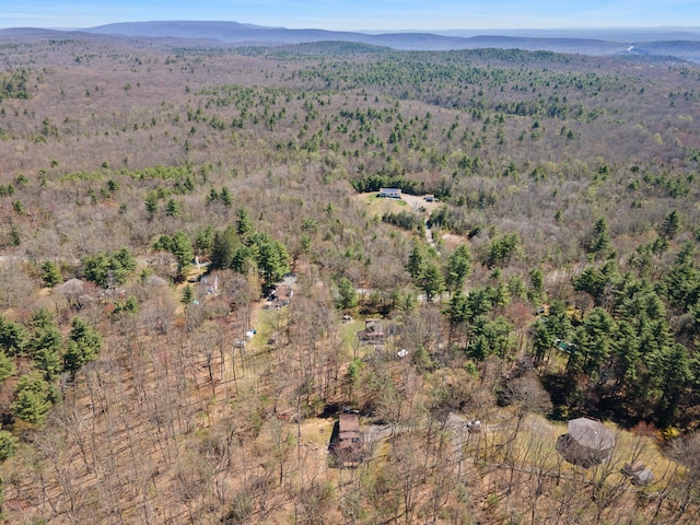 16 Clipper Dr, Wurtsboro, NY 12790 - photo 44