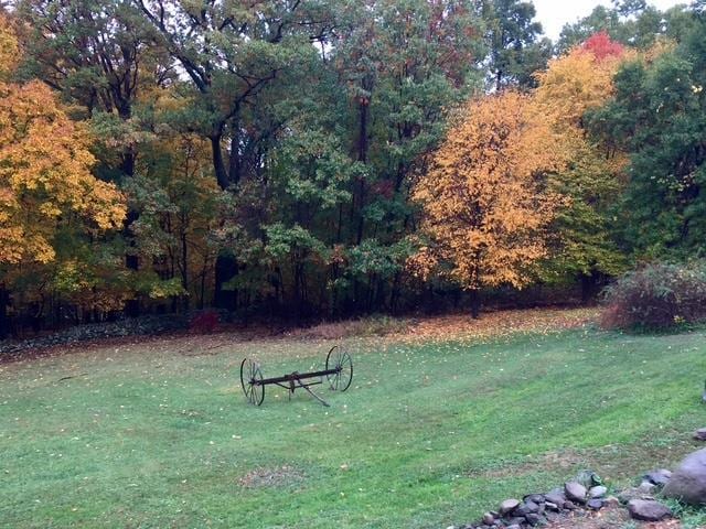 surrounding community featuring a lawn and a wooded view