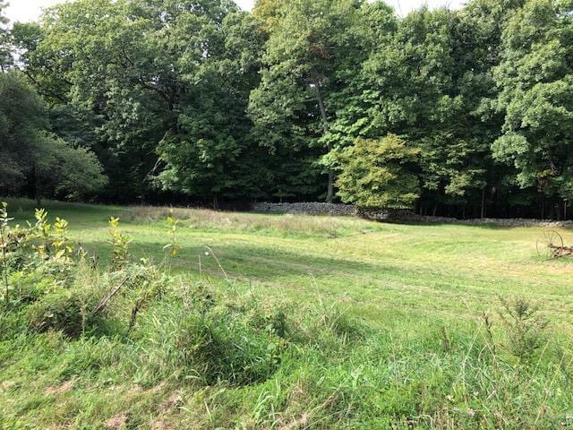 view of yard featuring a wooded view