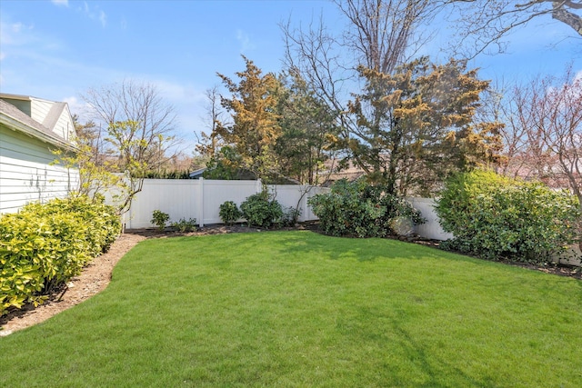 view of yard featuring a fenced backyard