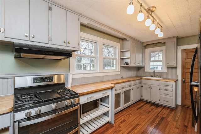 kitchen with wooden counters, under cabinet range hood, track lighting, dark wood-type flooring, and appliances with stainless steel finishes