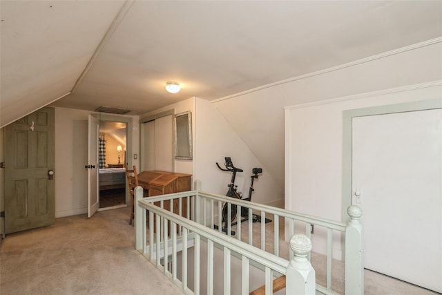 additional living space featuring lofted ceiling and carpet flooring
