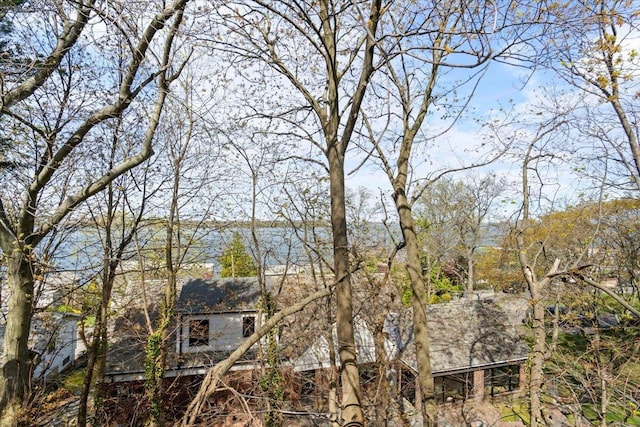 view of nature