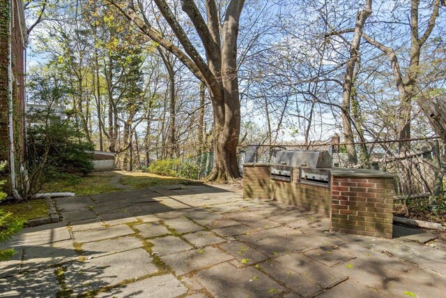 view of patio / terrace with area for grilling