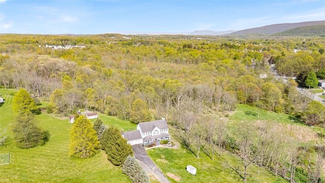 1770 Rte 208, Washingtonville, NY 10992 - bird's eye view featuring a forest view