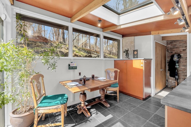 sunroom featuring a skylight