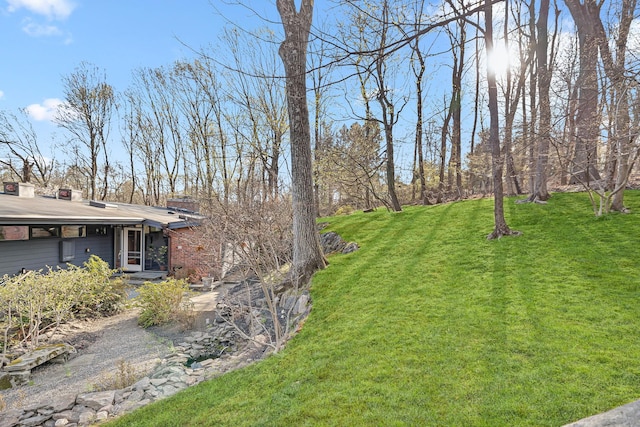 view of yard