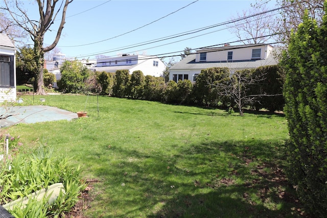 view of yard featuring a patio
