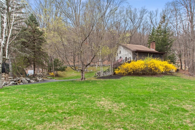 view of yard