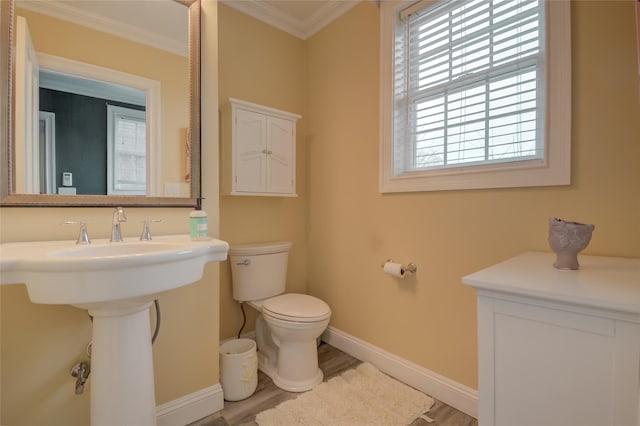 163 N Hamilton St, Poughkeepsie, NY 12601 - half bath with toilet, ornamental molding, wood finished floors, and a wealth of natural light