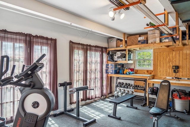 exercise room with a workshop area