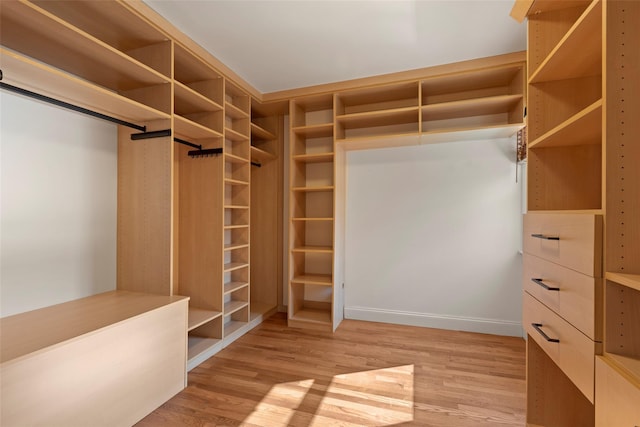 walk in closet with light wood-style floors
