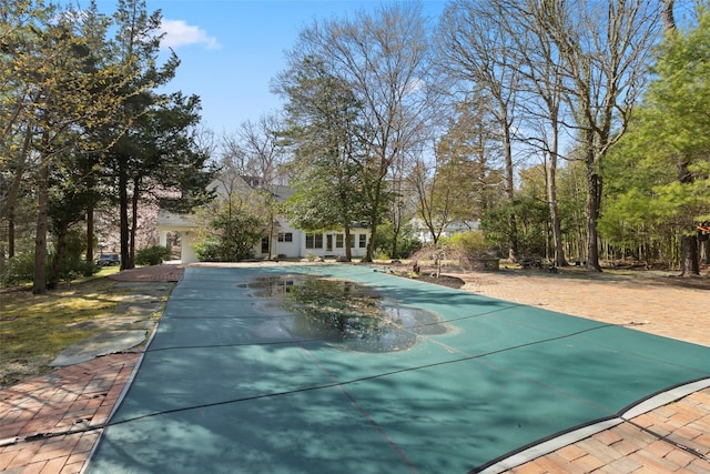 view of pool with a patio area and a covered pool