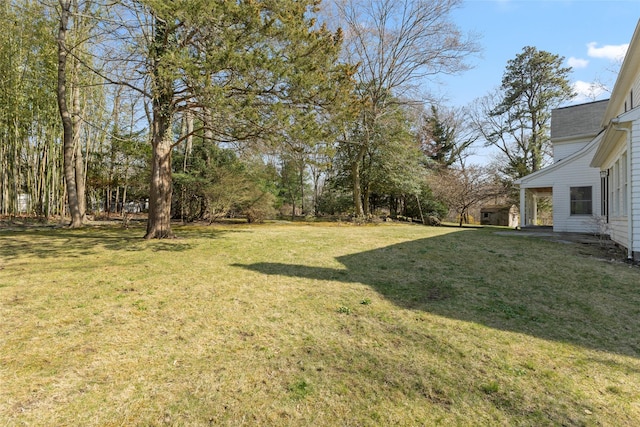 view of yard