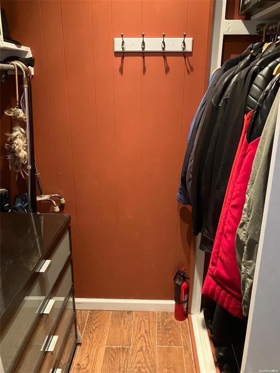 19 Tatterson St, Roslyn, NY 11576 - view of walk in closet