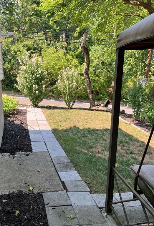 19 Tatterson St, Roslyn, NY 11576 - view of yard