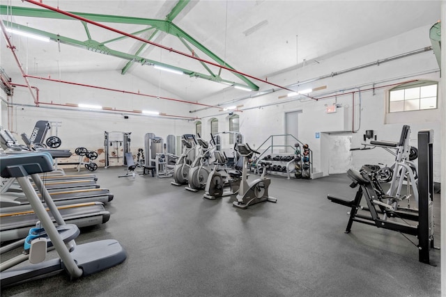 exercise room featuring lofted ceiling