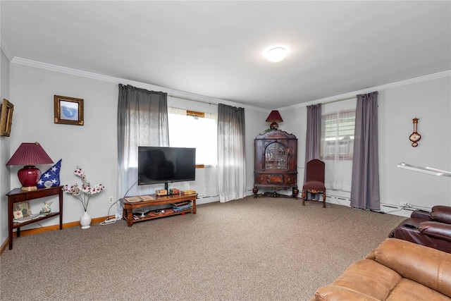 420 Old Country Rd, Melville, NY 11747 - carpeted living area featuring baseboards and ornamental molding