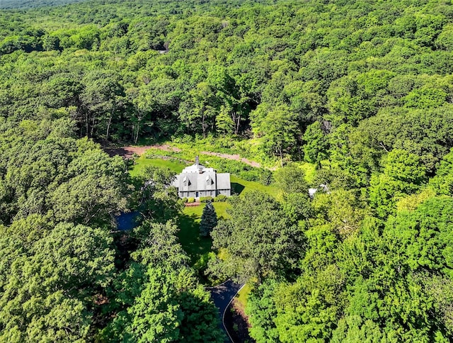 41 Lavelle Rd, Holmes, NY 12531 - aerial view of property and surrounding area with a forest