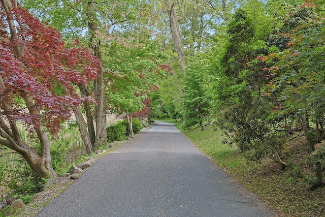 300 Sheldon Ave, Tarrytown, NY 10591 - view of street