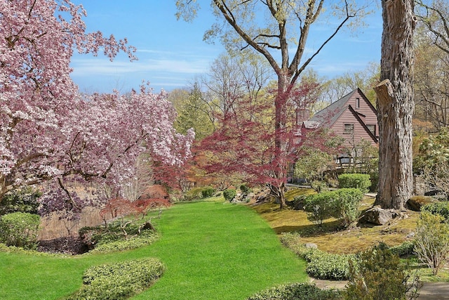 300 Sheldon Ave, Tarrytown, NY 10591 - view of green lawn