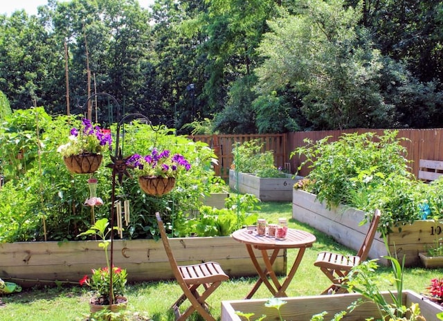 view of yard with fence and a vegetable garden