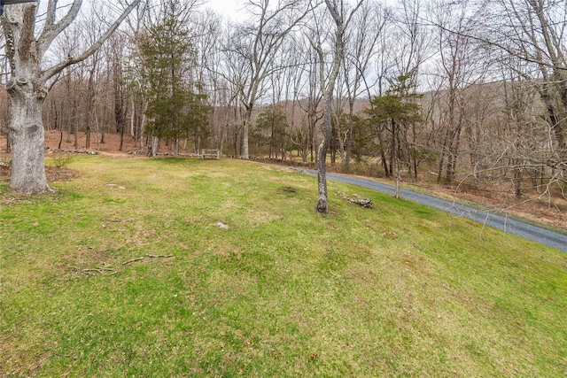 view of yard featuring aphalt driveway