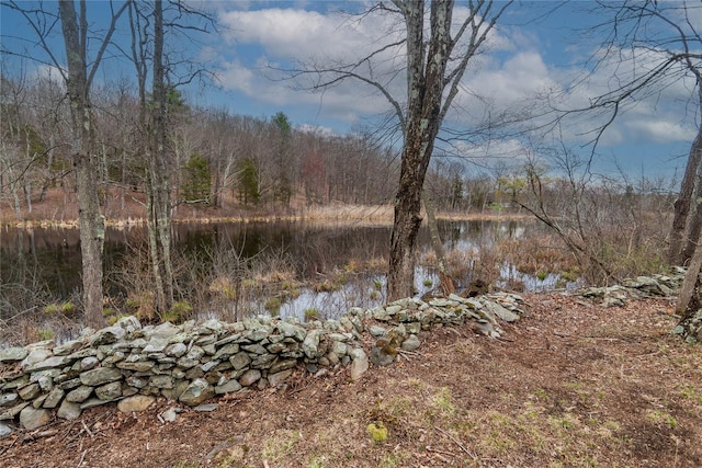 view of landscape with a view of trees and a water view