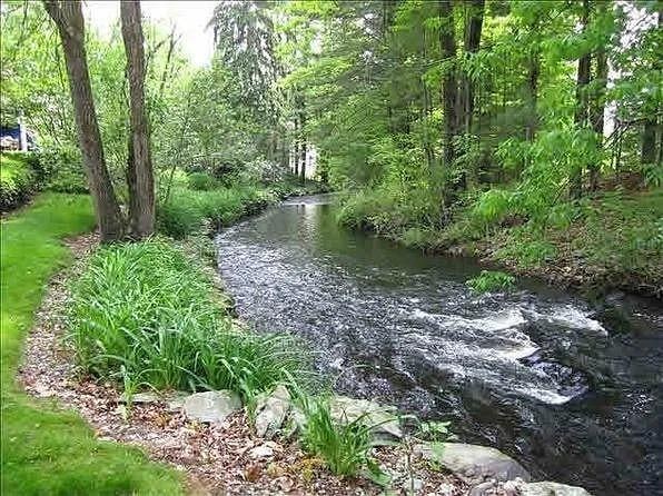 70 Mill Road Ext, Hyde Park, NY 12538 - water view with a forest