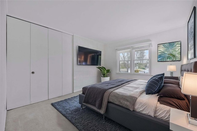 bedroom with carpet flooring
