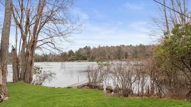 water view featuring a wooded view