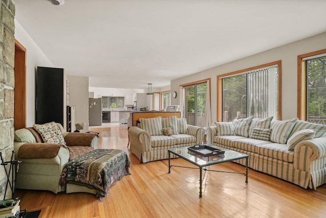 48 Sabbath Day Hill Rd, South Salem, NY 10590 - living room featuring healthy amount of natural light and light wood-style flooring